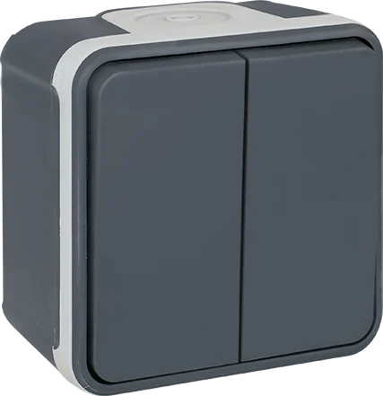 Double va et vient saillie 10A gris - IP55 - OXXO image