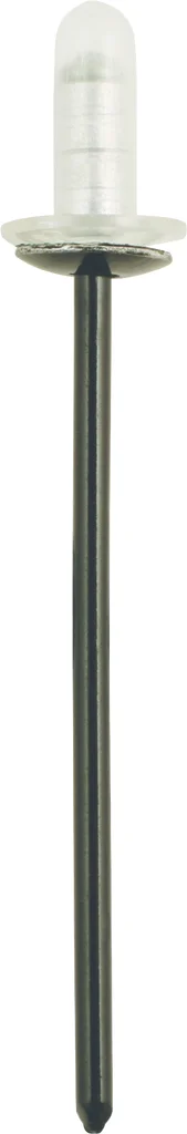 Rivets étanches pour Toyota/Lexus - Ø 4 mm - 10 pcs image