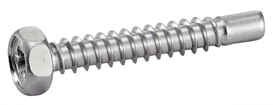 Vis à tole tête hexagonale pozidrive avec bout pilote - Inox A2 image