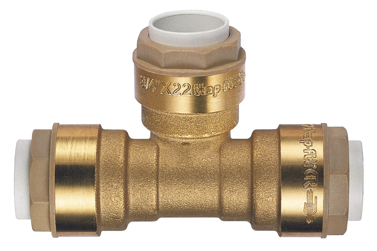 Té femelle égal image