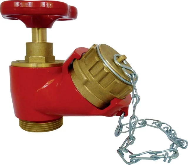 Robinet de prise simple avec bouchon et chaînette image