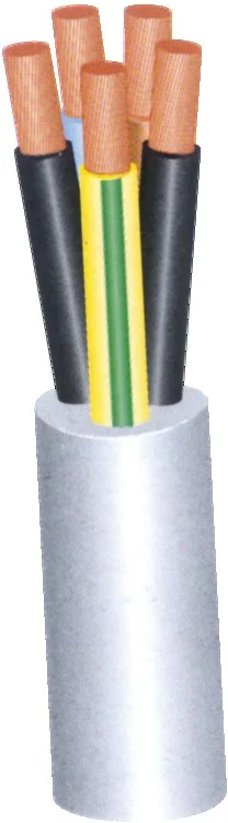 Câble électrique souple H05VV-F 2G0.75² - Couronne de 50m image