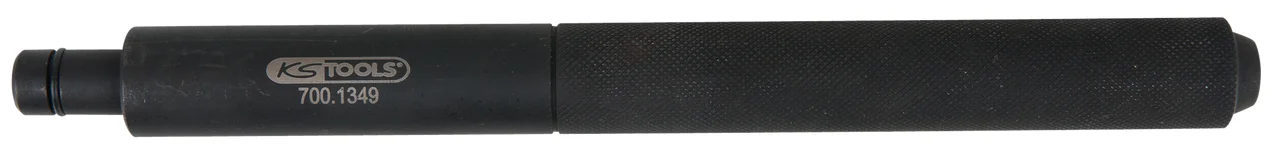 Chasse moleté image