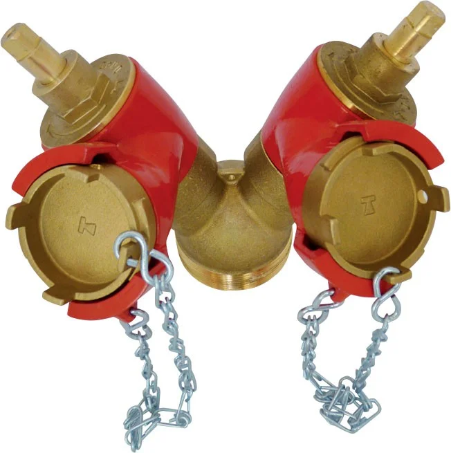 Robinet de prise double avec bouchon et chaînette image