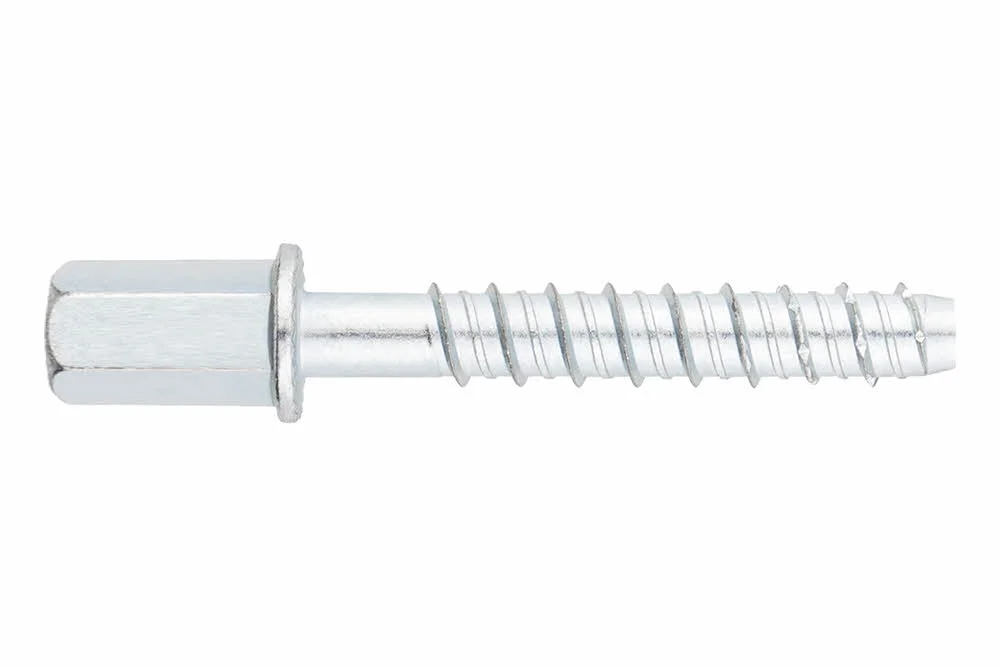 Boite de 50 - Vis a béton - Tête filetage femelle - Recouvrement zingué - Homologué ETE Option 2 image