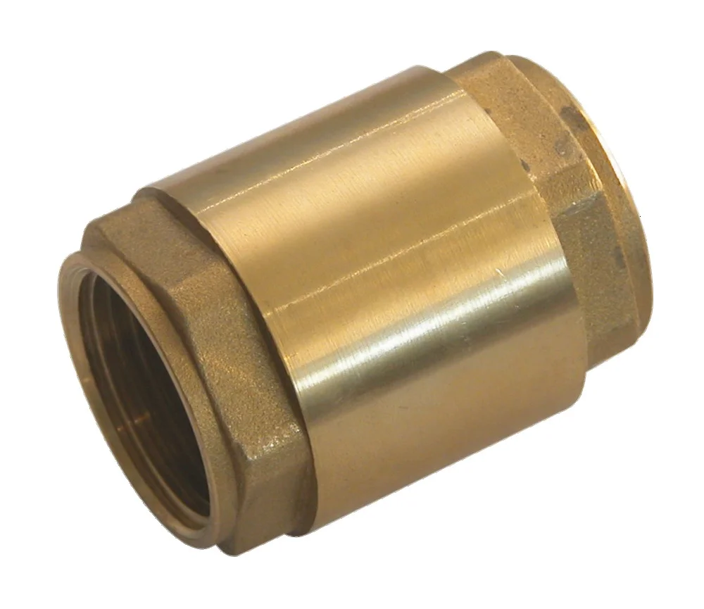 Clapet laiton toutes positions - obturateur nylon - taraudé BSP - PN16 image