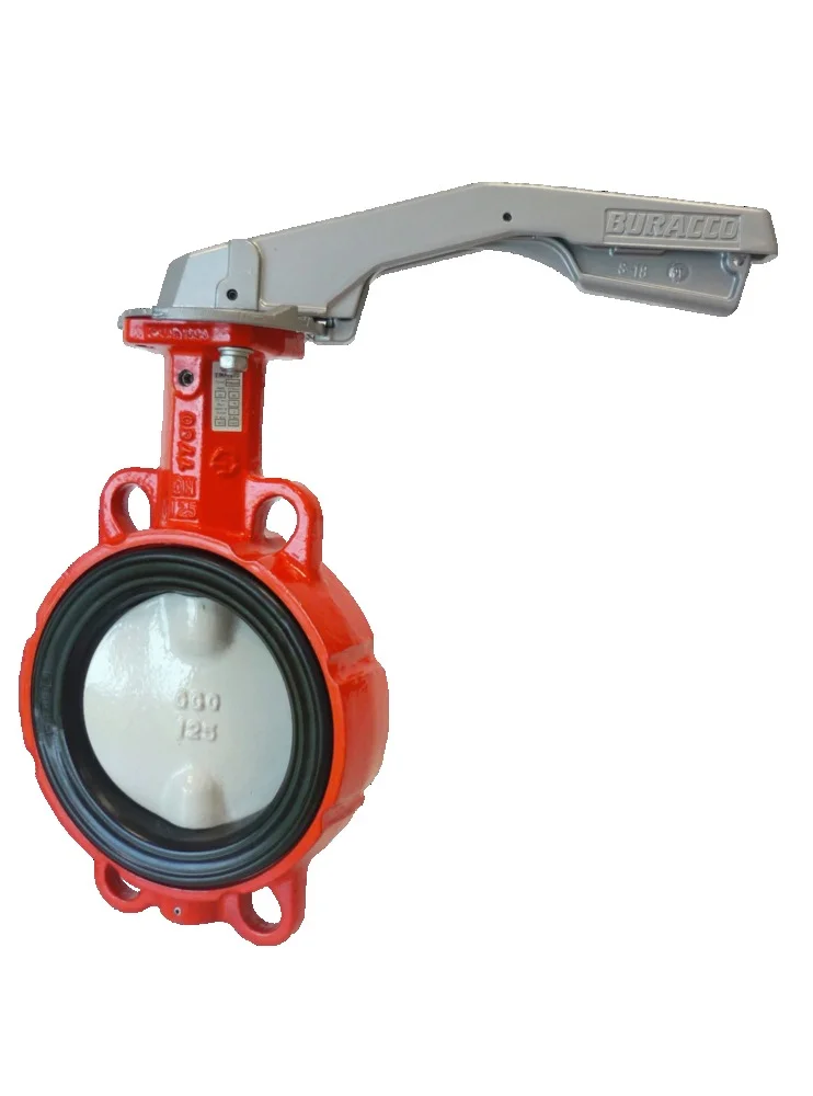 Vanne papillon à oreilles de centrage guidées FTE/EPDM 130 image