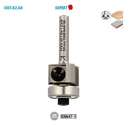 ø 19 ø Queue 6 Long. 55 Long. Utile 12mm image