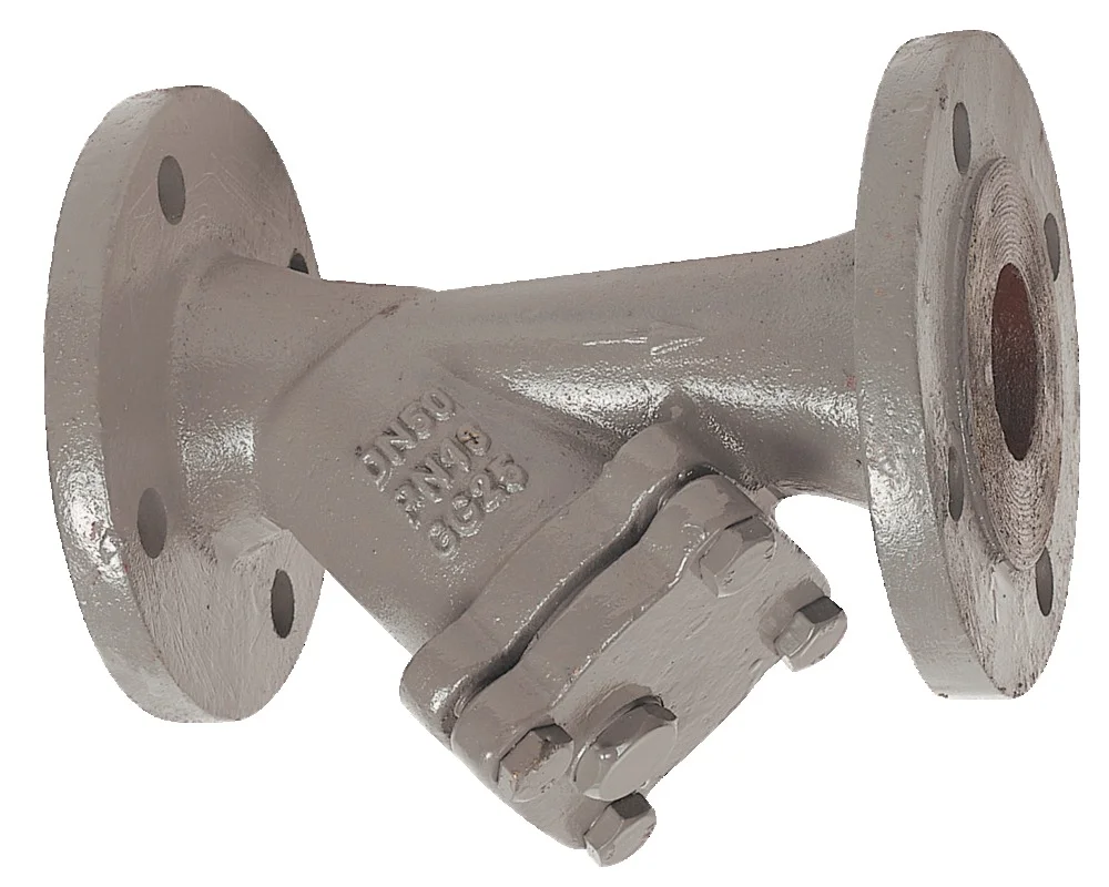 Filtre à  tamis fonte - Cartouche inox - à bride image