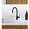 Mitigeur lavabo bec haut mobile Ruby Black image 0