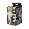 Ampoules Led spécifiques E27 - R63 - R80 image 7