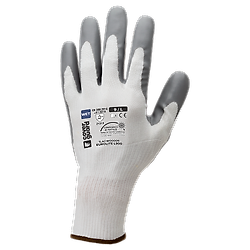 Taille 7 image