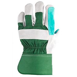 Taille 10 image