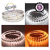 Bandeau LED 12V CCT IP20 10W/m - 850lm/m - 5m image 0