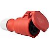 PRISE CEI INDUSTRIELLE 3PNT/400V - IP44 image 0