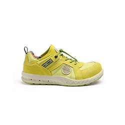Lime 37 image
