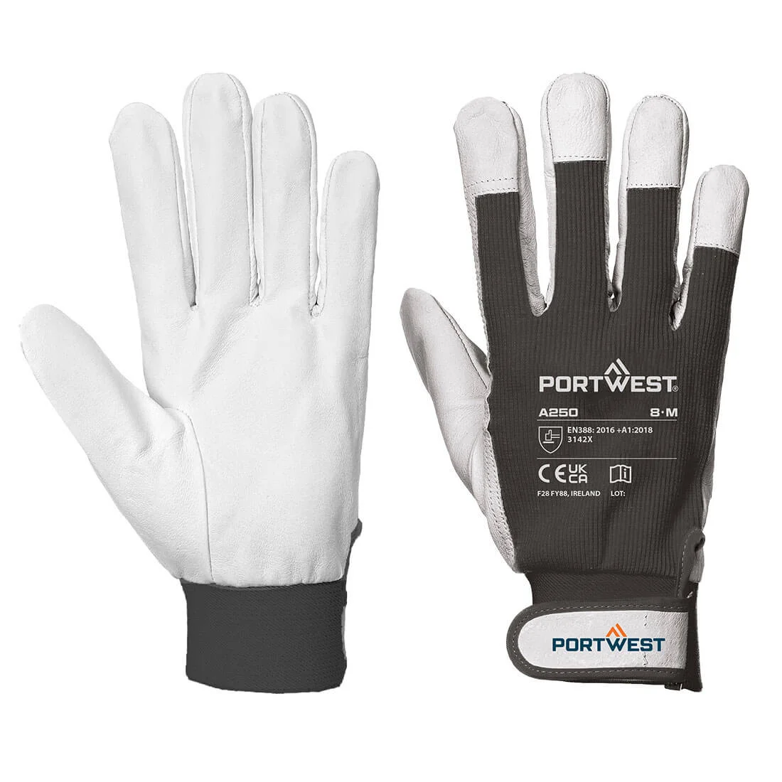 Gants Tergsus Glove image
