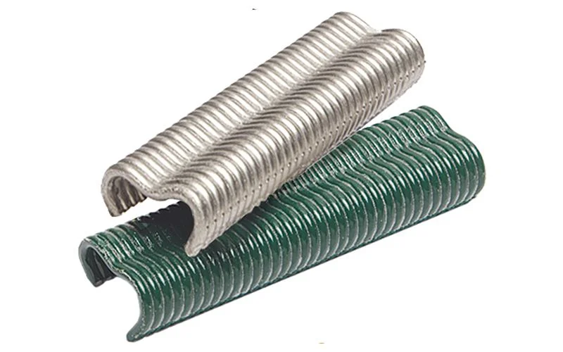 Galvanisée - 200pcs image