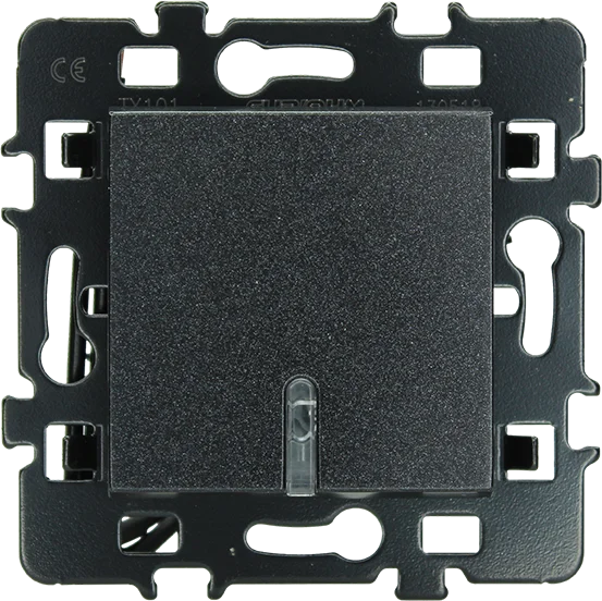 Interrupteur va et vient lumineux ou témoin 10AX - ESPRIT image