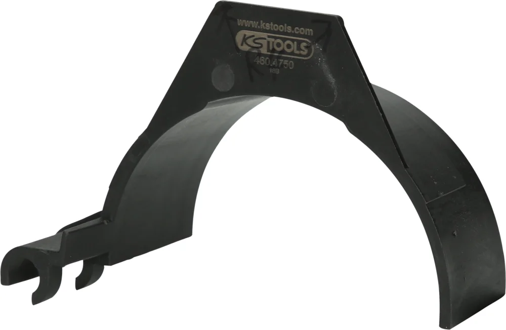 Demi-coquille droite, 50 mm image