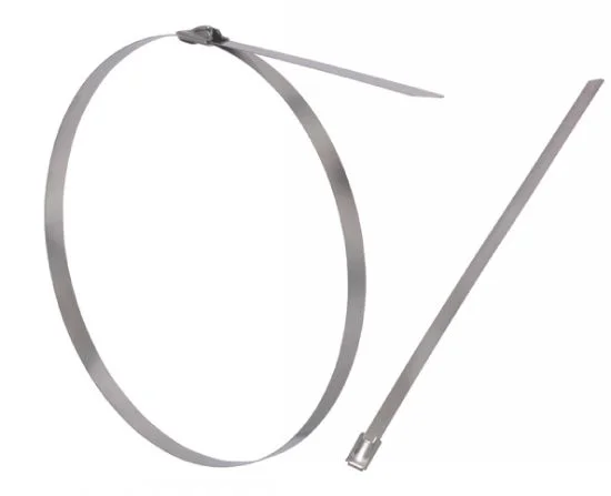 (Lot de 100) Lien Extra plat - Inox A2 image