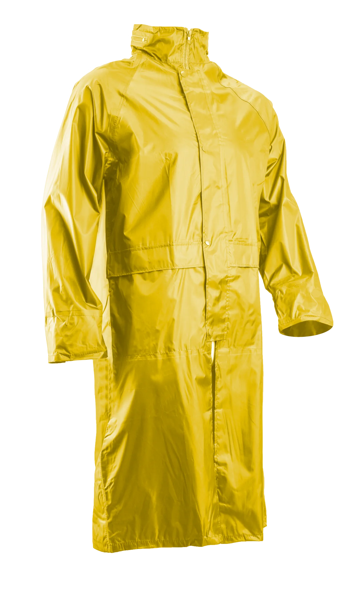 Jaune L - 48/50 image