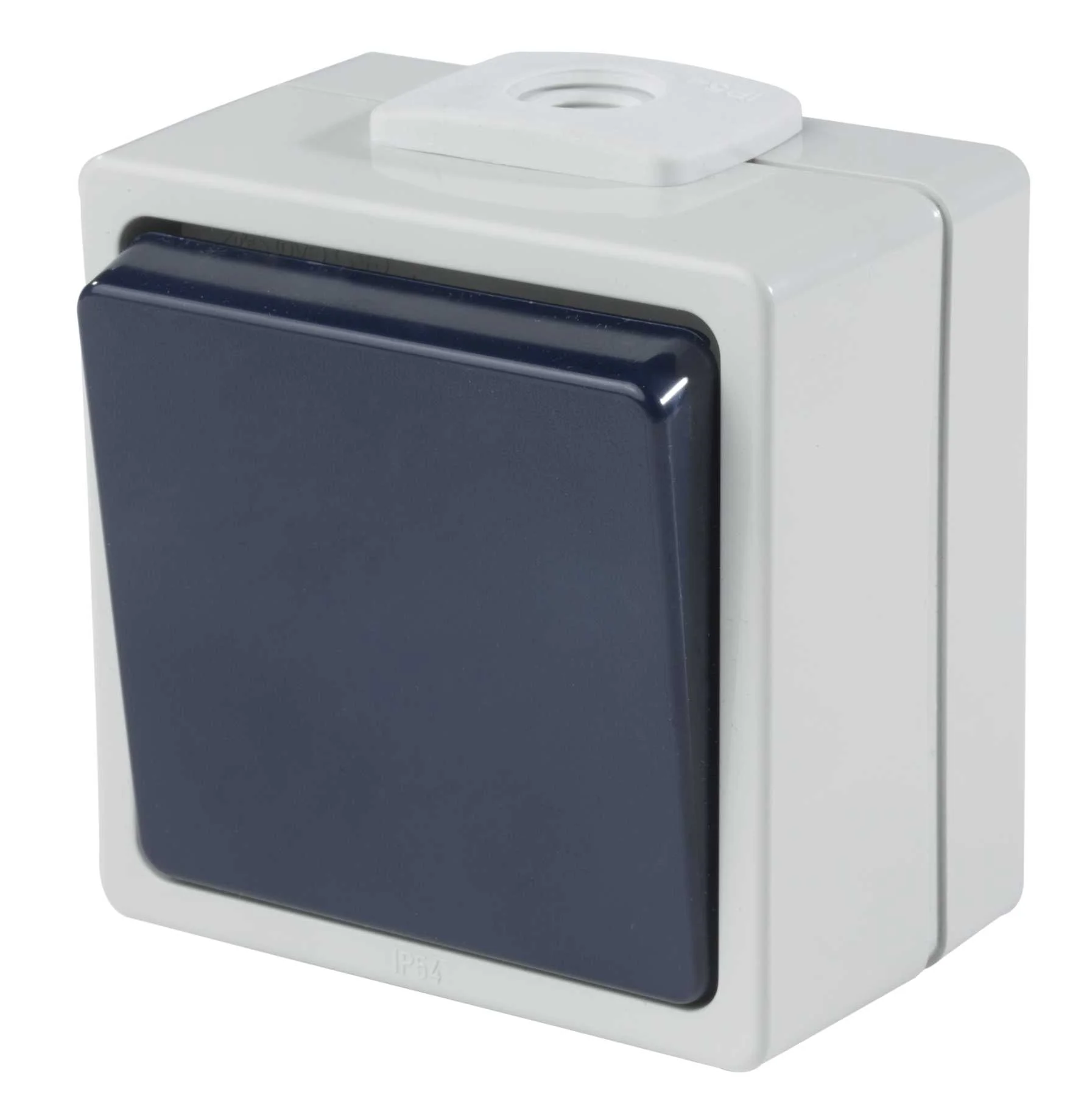 INTERRUPTEUR VA-ET-VIENT ETANCHE 10 A - IP54 - GRIS/BLEU image