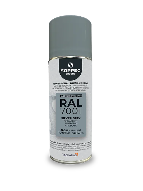 RAL7001 - BRILLANT image