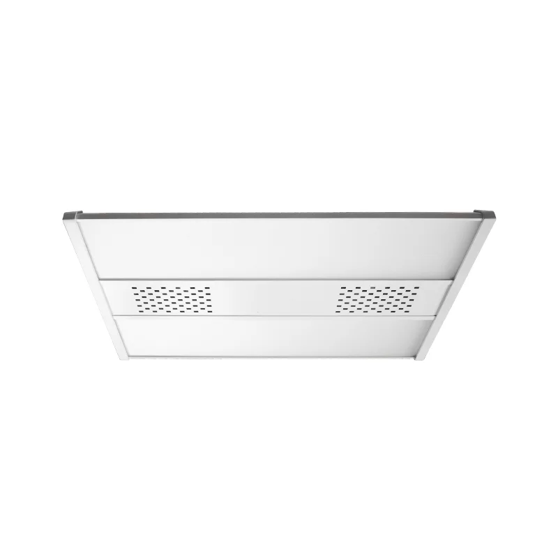 Luminaires industriels et sportifs gris SPORTY IP44 image