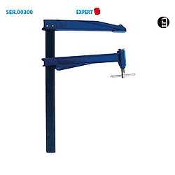 Saillie 300 Section 40 X 10 Serrage 300 image