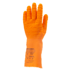Taille 8 image
