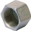 Bouchon fonte noire Femelle tête hexagonale image 0